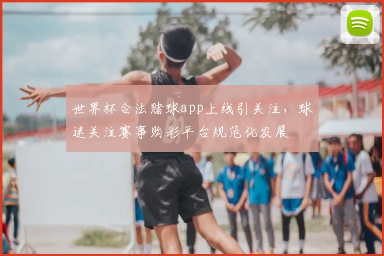 世界杯合法赌球app上线引关注，球迷关注赛事购彩平台规范化发展