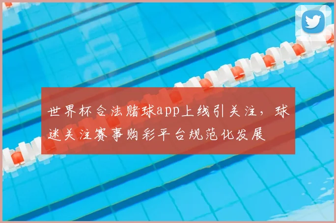 世界杯合法赌球app上线引关注，球迷关注赛事购彩平台规范化发展
